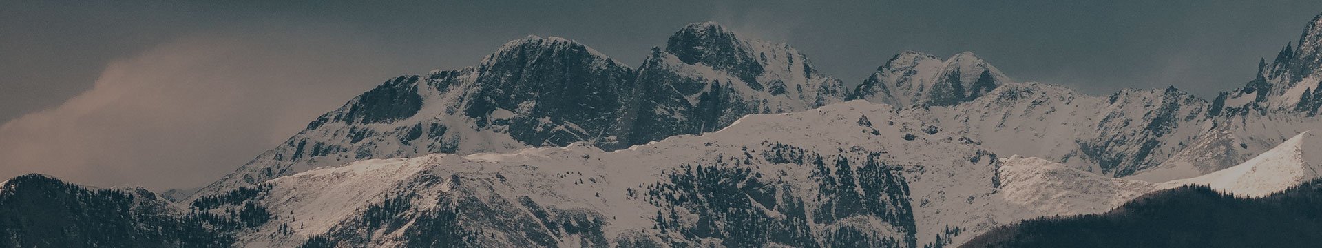 contact-banner